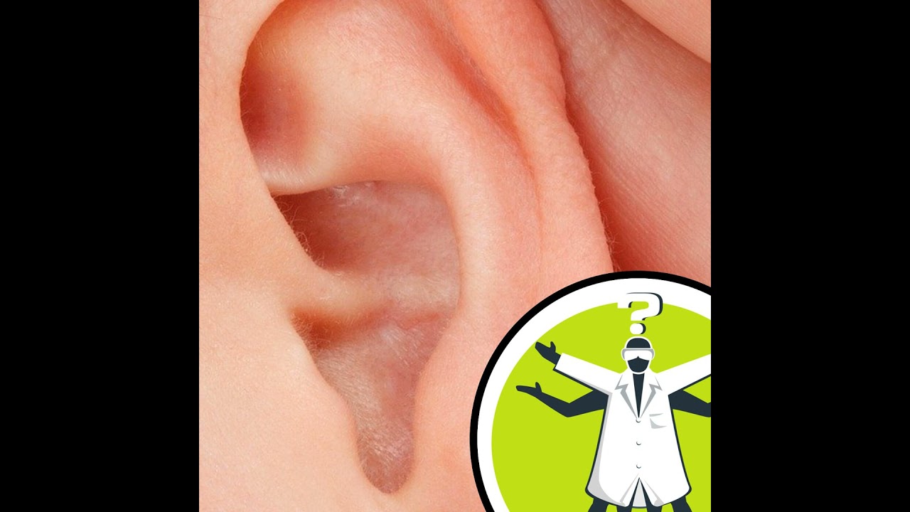 Did chewing gum cause my tinnitus?