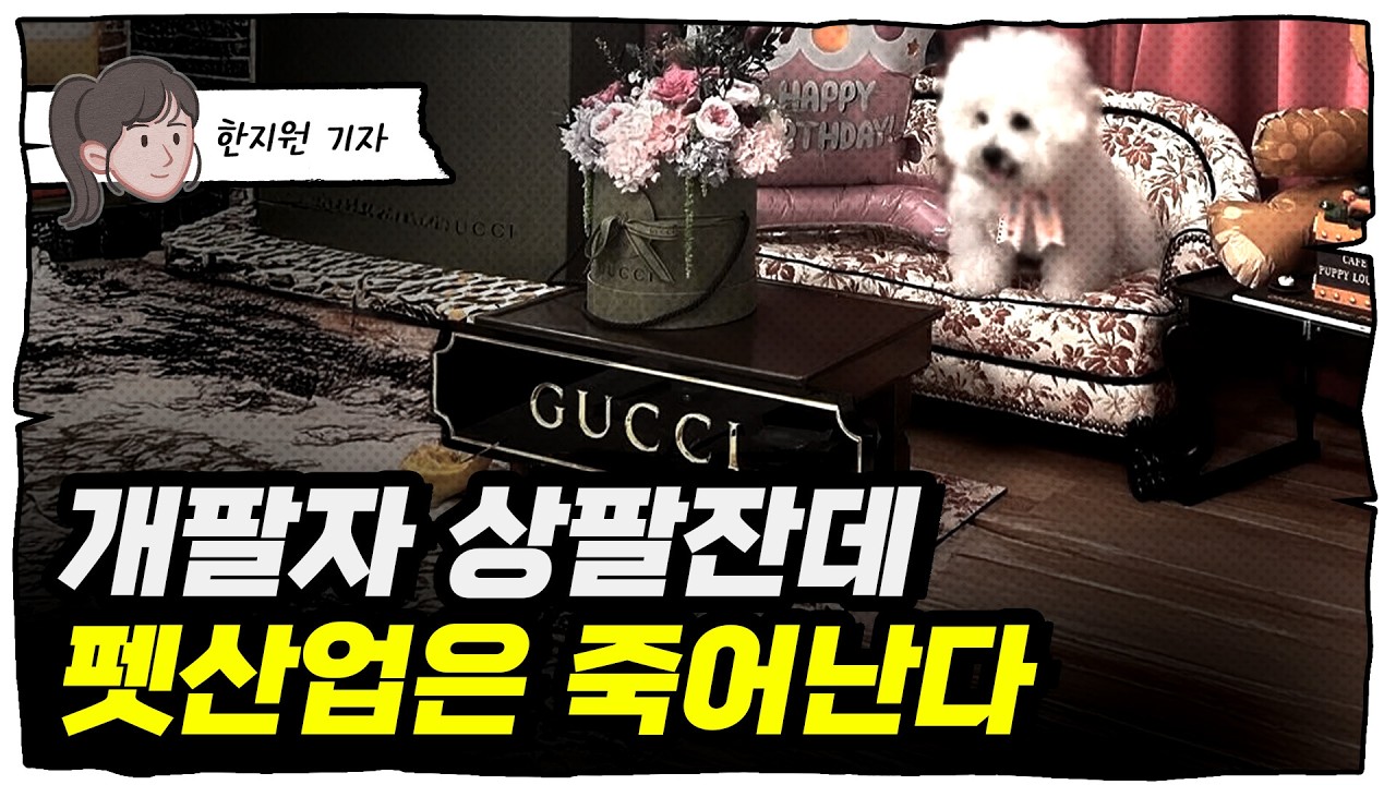 개팔자'만' 상팔자네... 피기도 전에 지고 있는 펫 산업 [한지원의 트렌드세터]