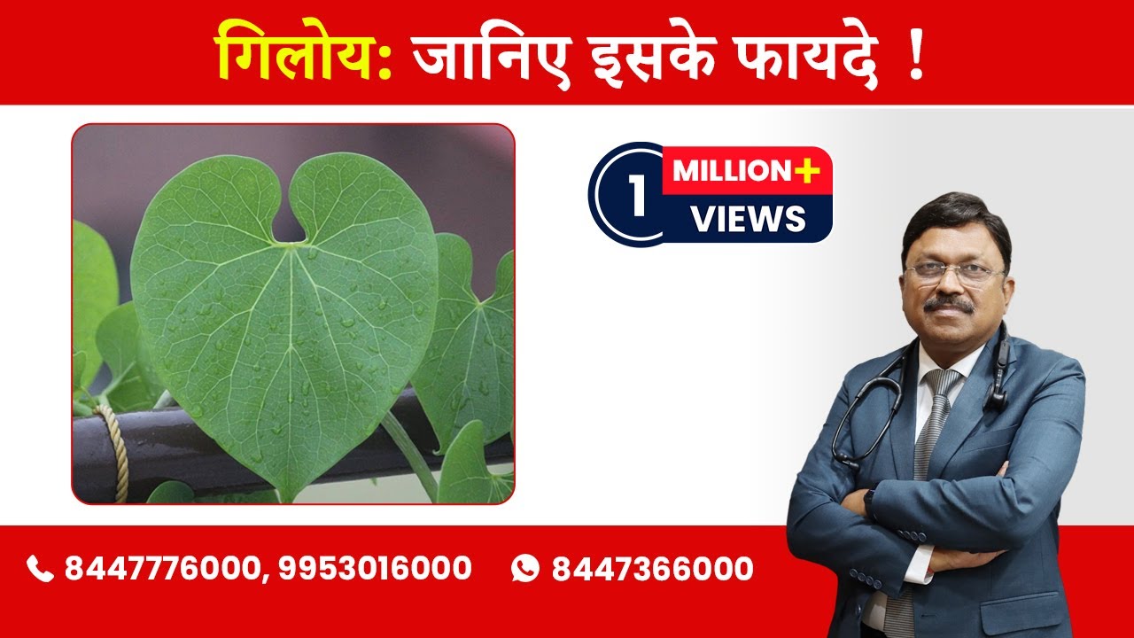 Giloy : Know the Benefits! | By Dr. Bimal Chhajer | Saaol