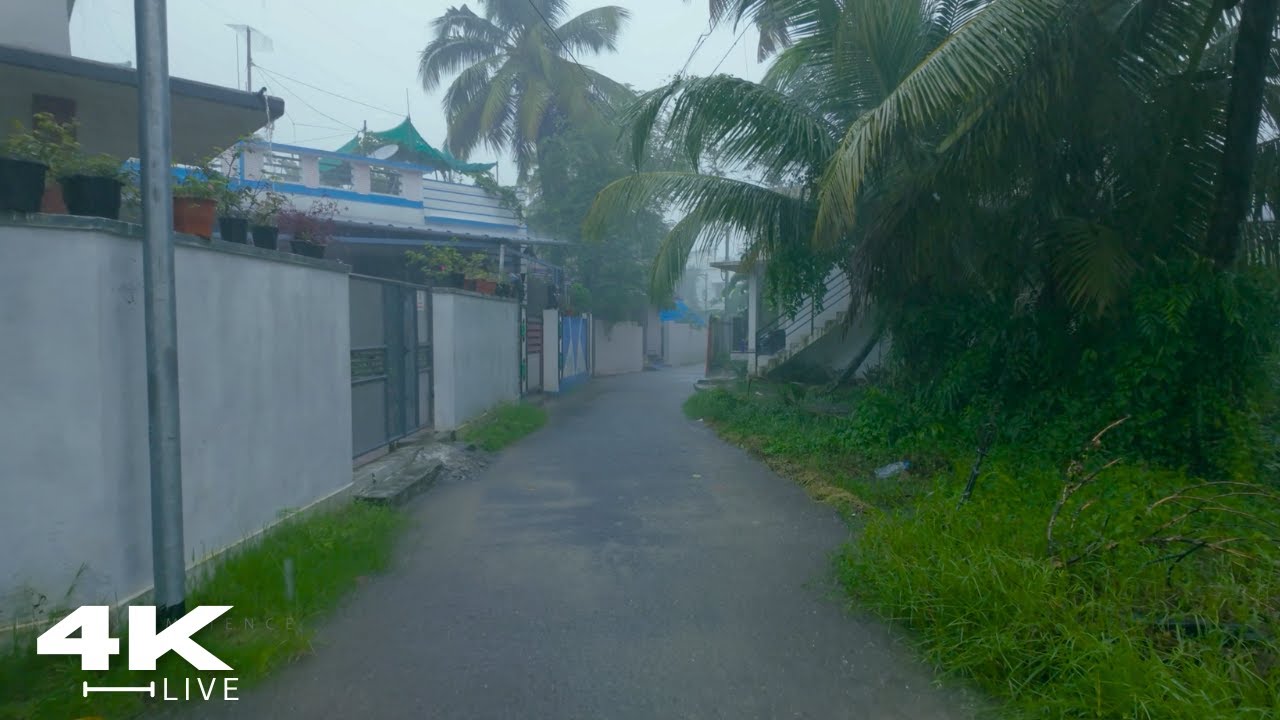 Heavy Rain Walks for Stress Relief : Enjoy the Rain Ambience : ASMR Rain Walks for Deep Sleep