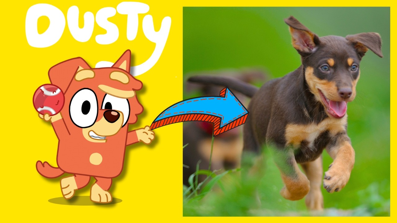 NEW Bluey Characters!!!!! (2024 UPDATE: Every Dog Breed Inspiration for Bluey 3 in REAL LIFE)