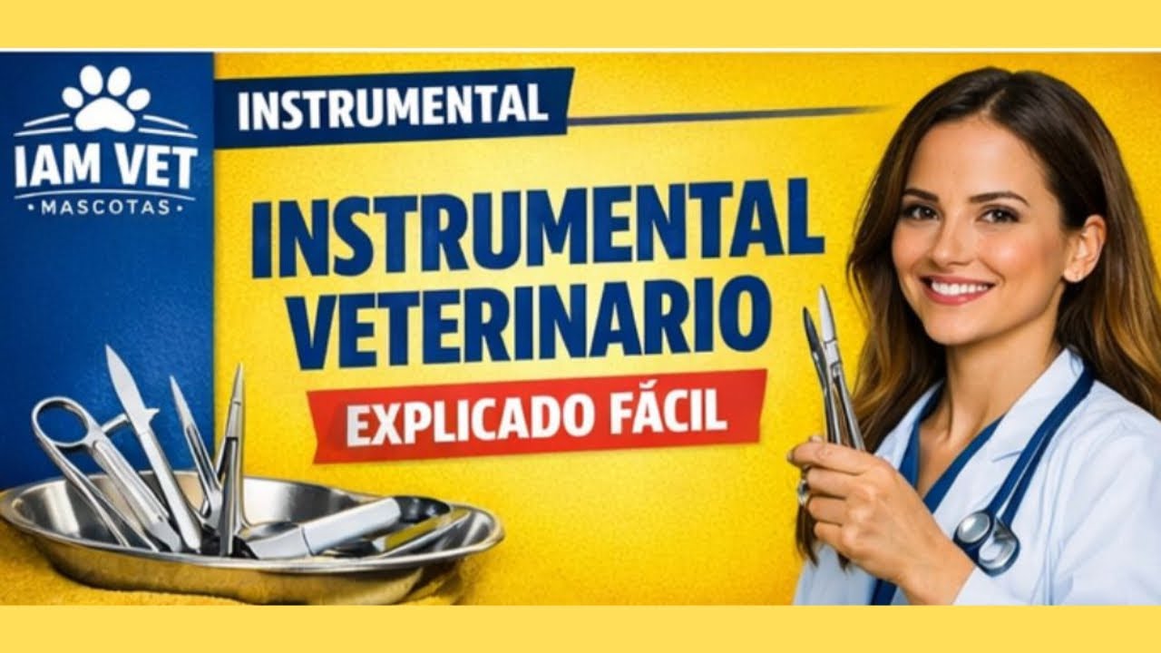 INSTRUMENTAL QUIRÚRGICO Básico de CIRUGÍA  #veterinaria #auxiliarveterinario #enfermería
