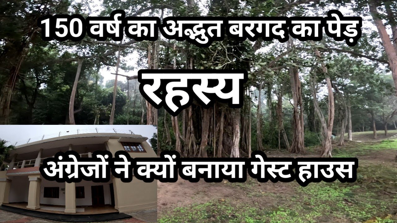 Katarniaghat (Nishangarha) 150 years old guest house and amazing banyan tree