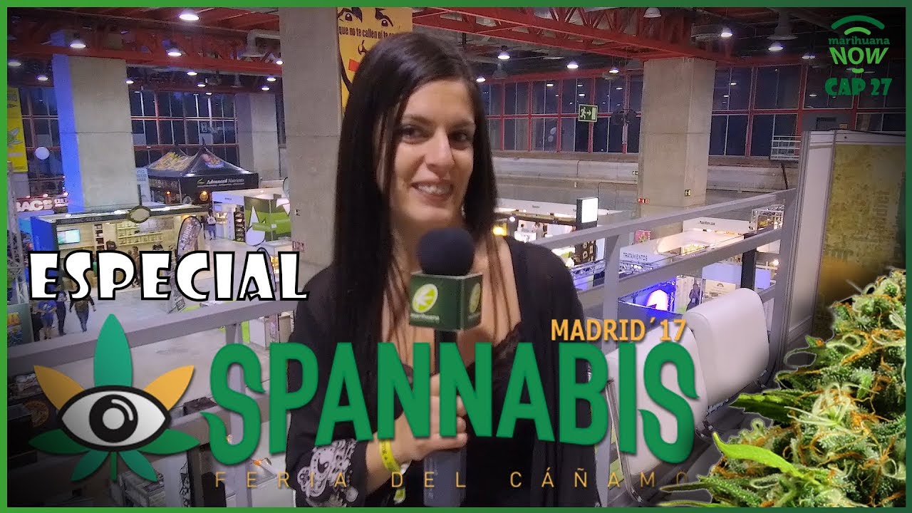 REPORTAJE SPANNABIS MADRID 2017: LA MAYOR FERIA DEL C&Aacute;&Ntilde;AMO Y LA MARIHUANA LLEGA A LA CAPITAL. NOW 27