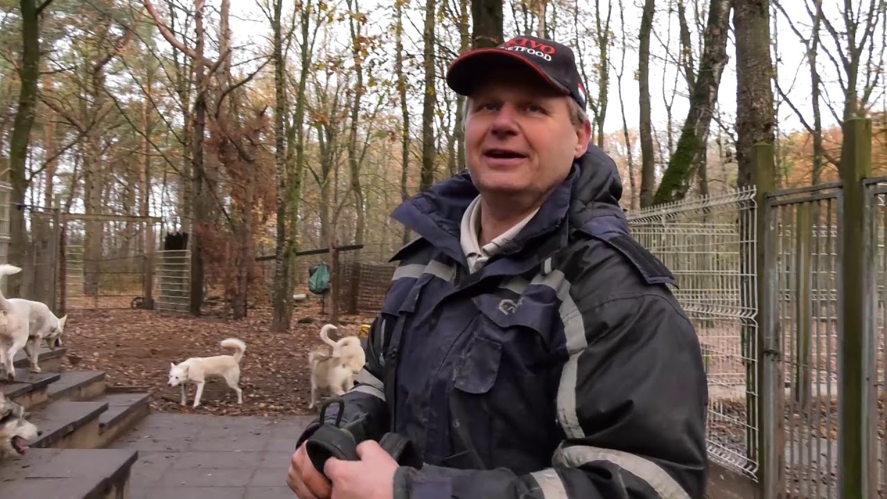 Marc uit Heeze leeft samen met roedel van 34 husky’s