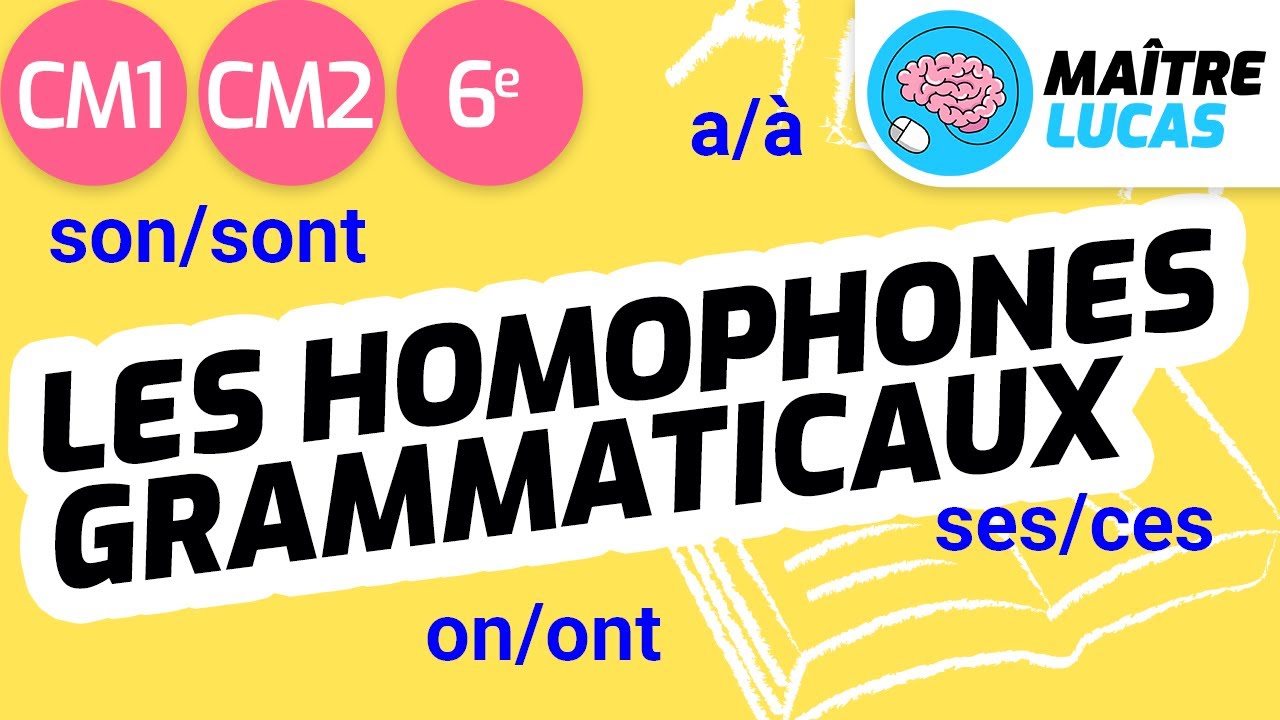 Homophones grammaticaux CM1 - CM2 - 6ème - Cycle 3 - Français - Grammaire