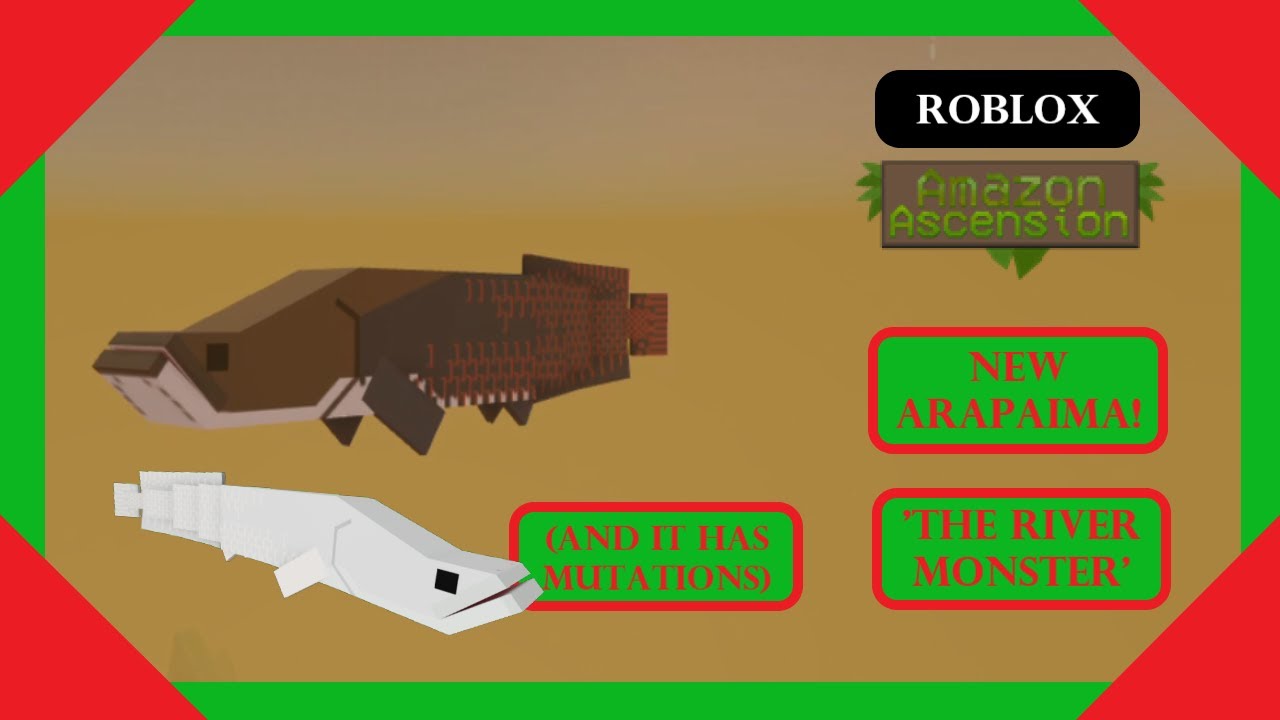 ARAPAIMA RELEASE | Amazon Ascension