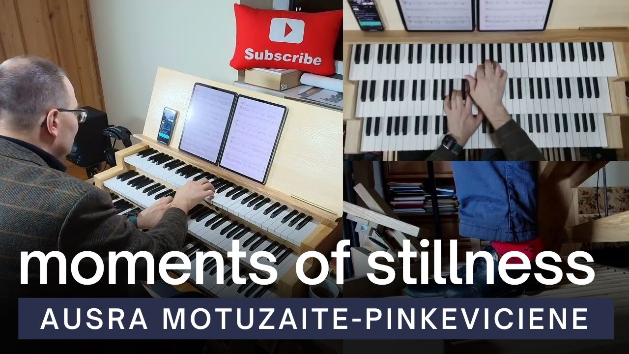 Ausra Motuzaite-Pinkeviciene - Moments of Stillness, Op. 44
