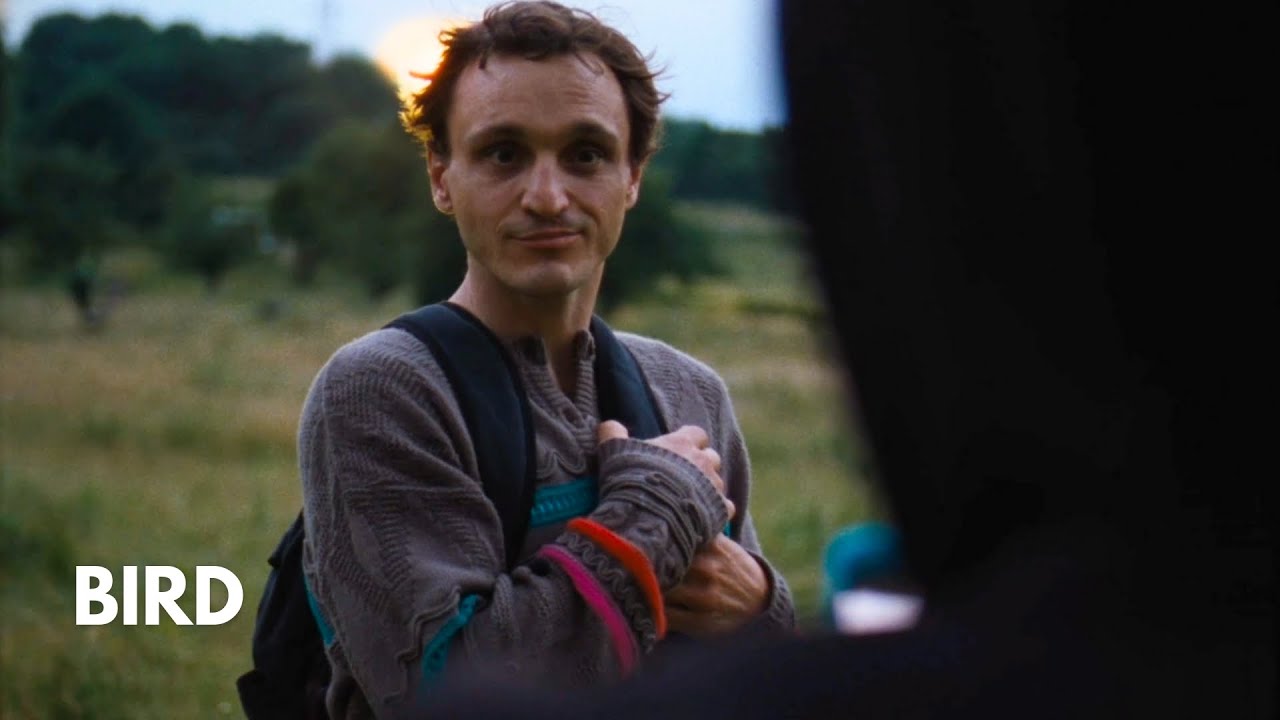 Bailey Meets Bird - Bird (2024) | CLIP