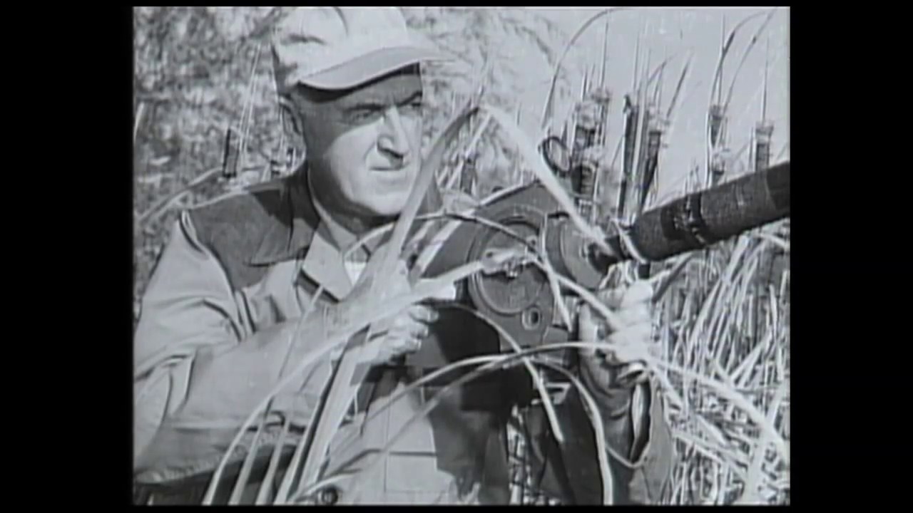 Mort Neff - Michigan Outdoors