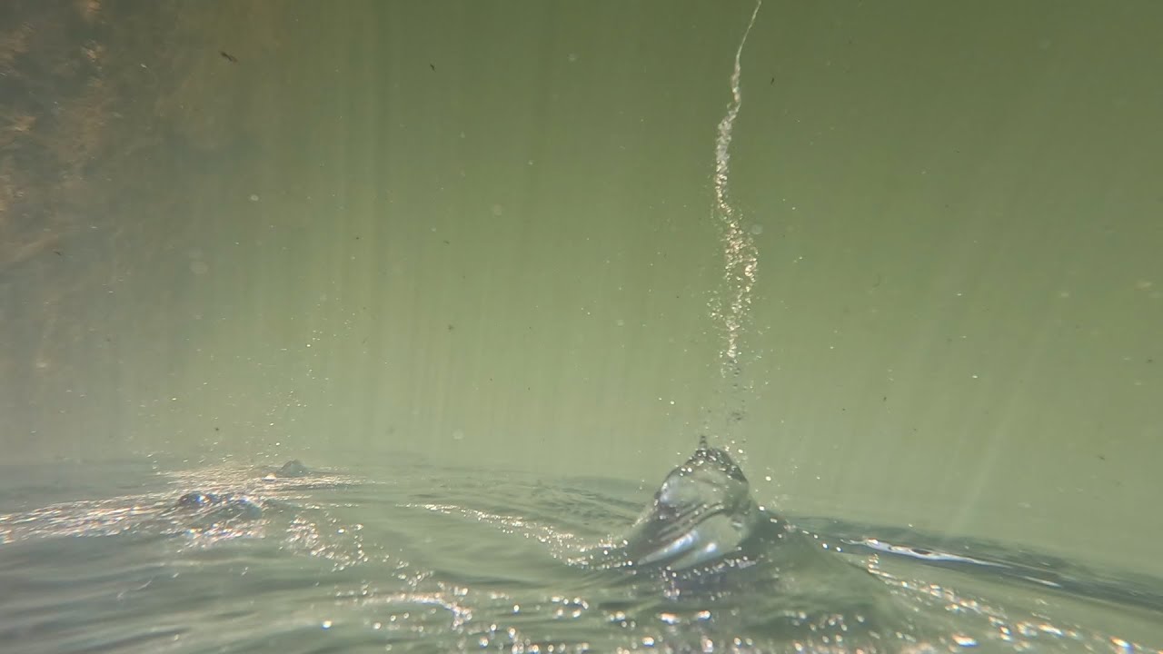 Swimming the Upper Gauley River - A Love Affair With Downriver Flow