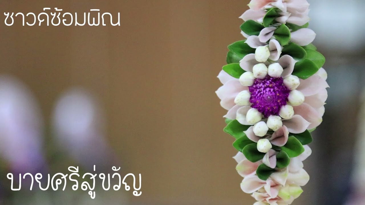 ซาวด์ซ้อมพิณ ลายบายศรีสู่ขวัญ Am