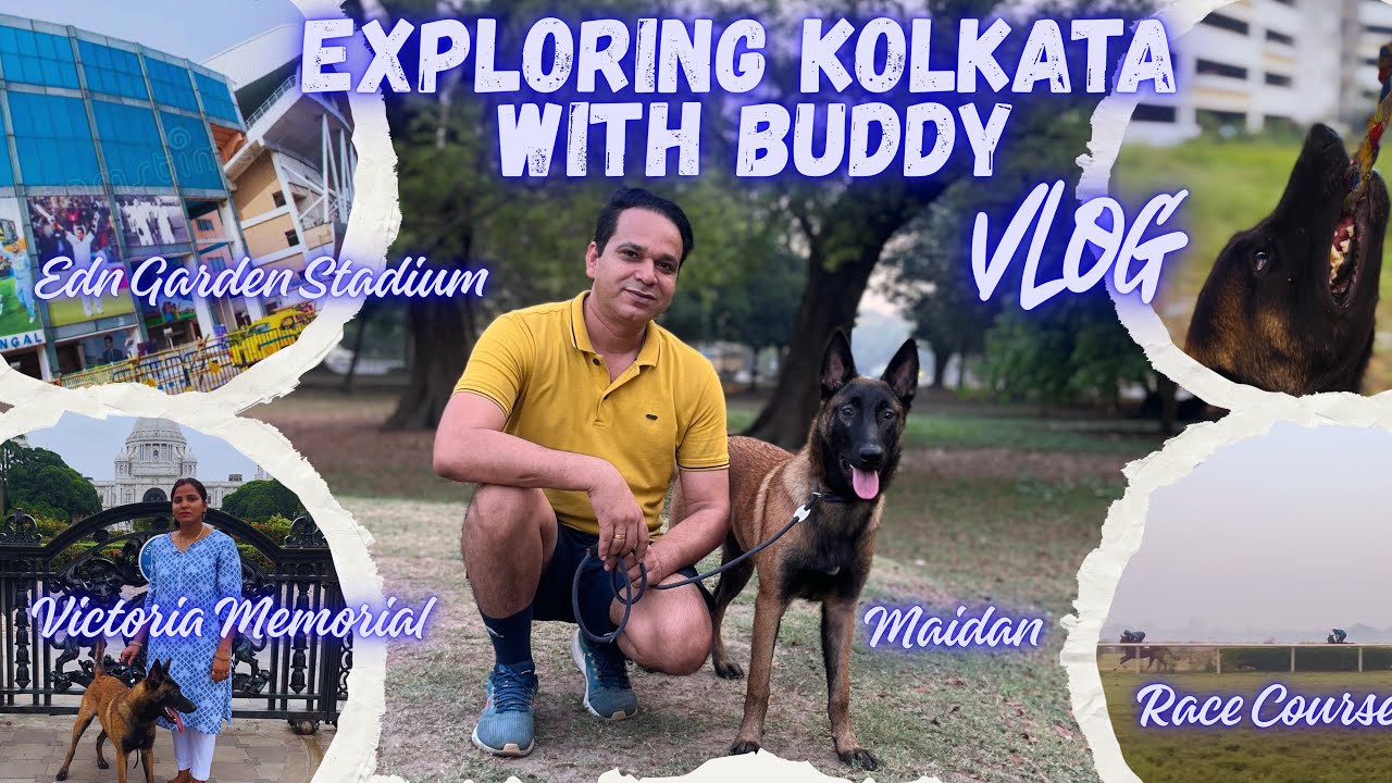 Exploring Kolkata With Buddy (Belgian Malinois)|@UnscriptedlifeofAU @MalinoisLovers 