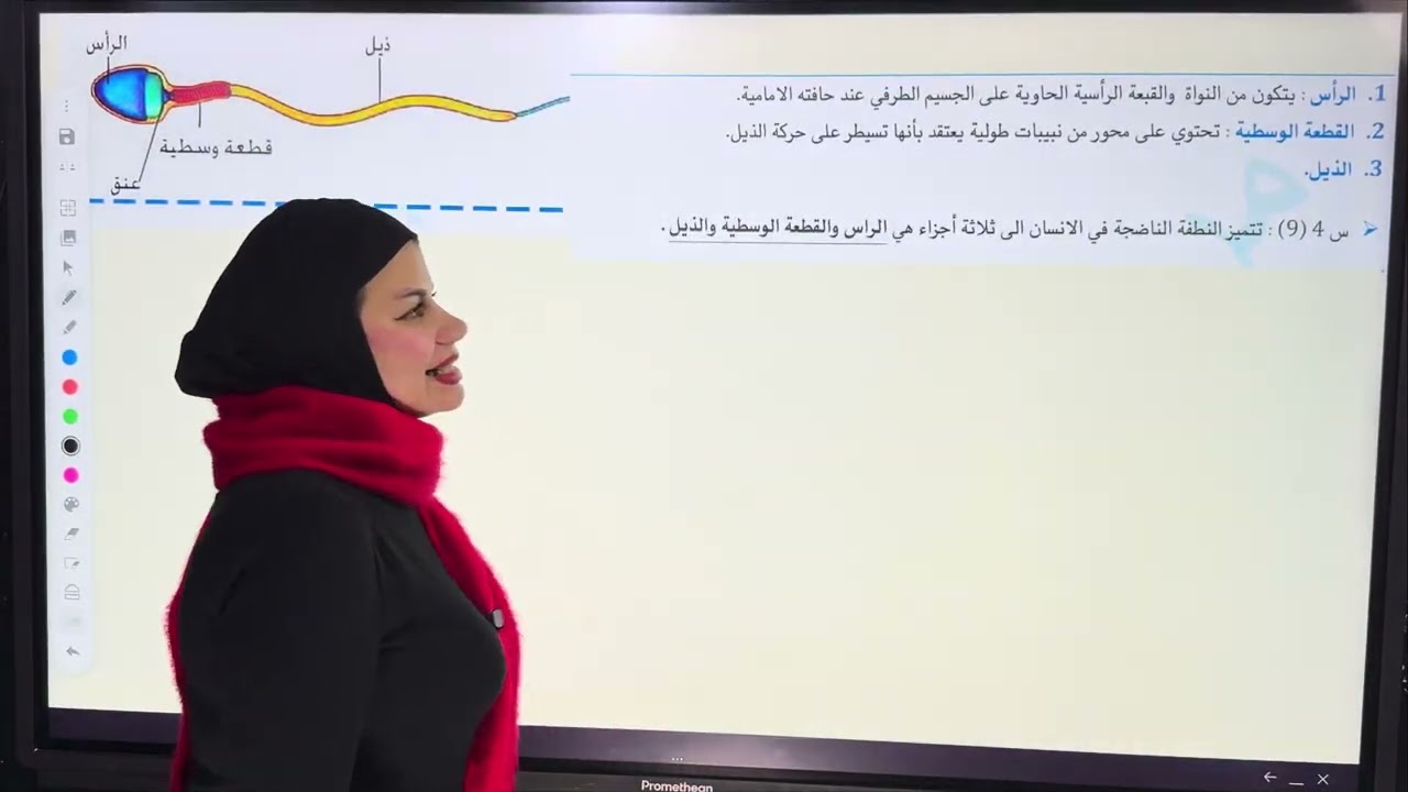 رسوم احياء السادس علمي الفصل الثالث 