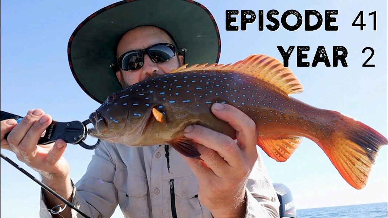 Port Hedland Fishing Finucane Island | Coral Trout and Cod on the Troll