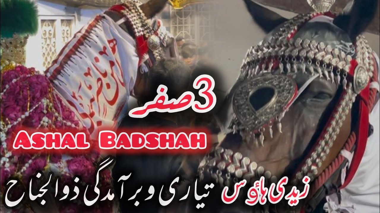 Baramdagi Zuljanah 3 Safar 2025 | Ashal Badshah | Zaidi House Gawalmandi Lahore #foryou #zuljanah