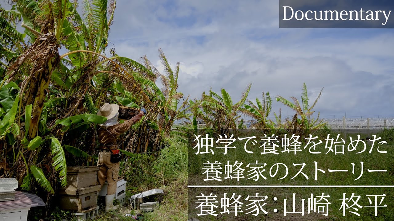 単身沖縄に渡り、独学で養蜂を始めた自然と共に生きる養蜂家のストーリー【ドキュメンタリー】