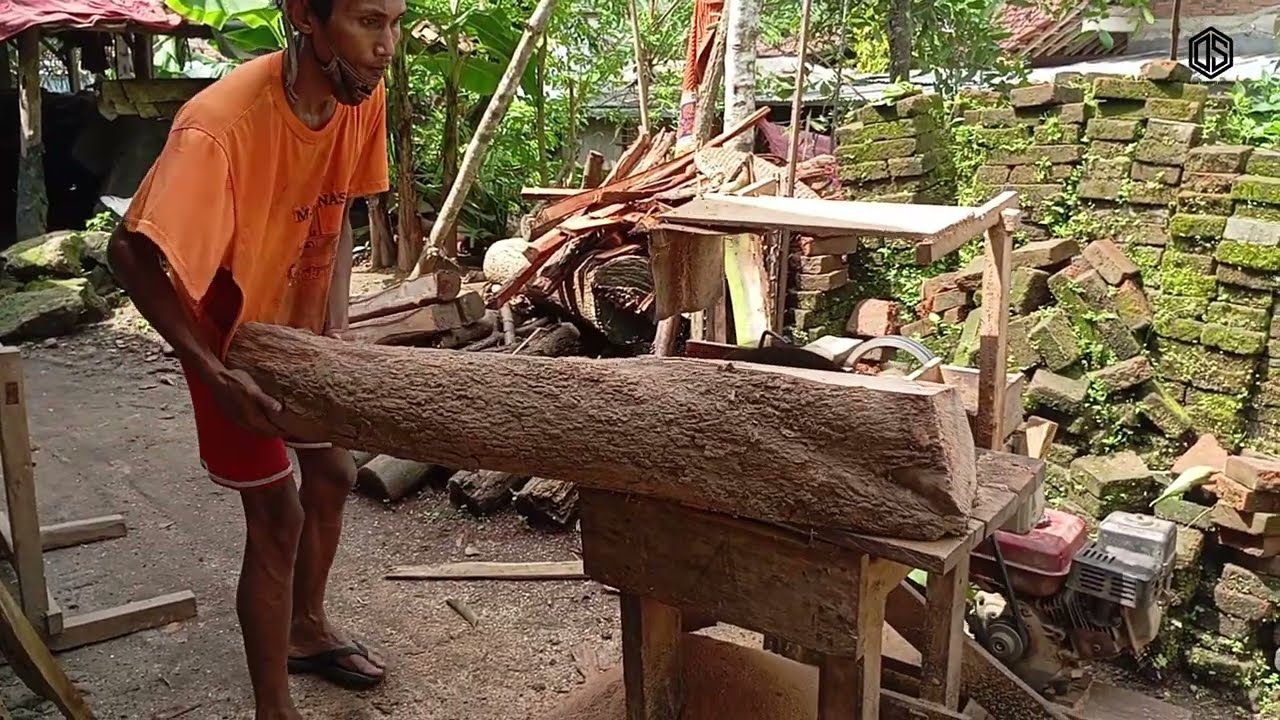 Longan Wood ||Properties and Potential Uses‼️#circularsaw #woodworking #diy 