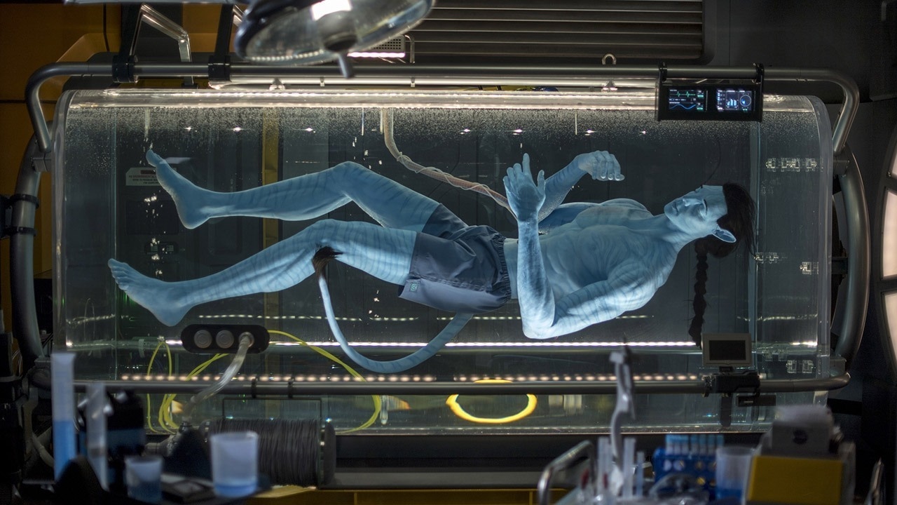 Disney's Avatar Land is Great Even if You Don't Love Avatar