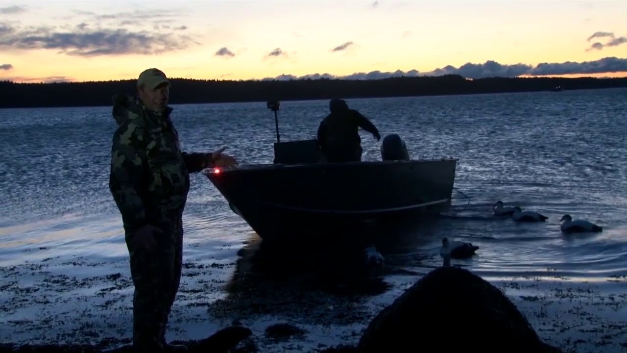 Maine Eider Action (Sea Duck Hunt) Part 1 of 4