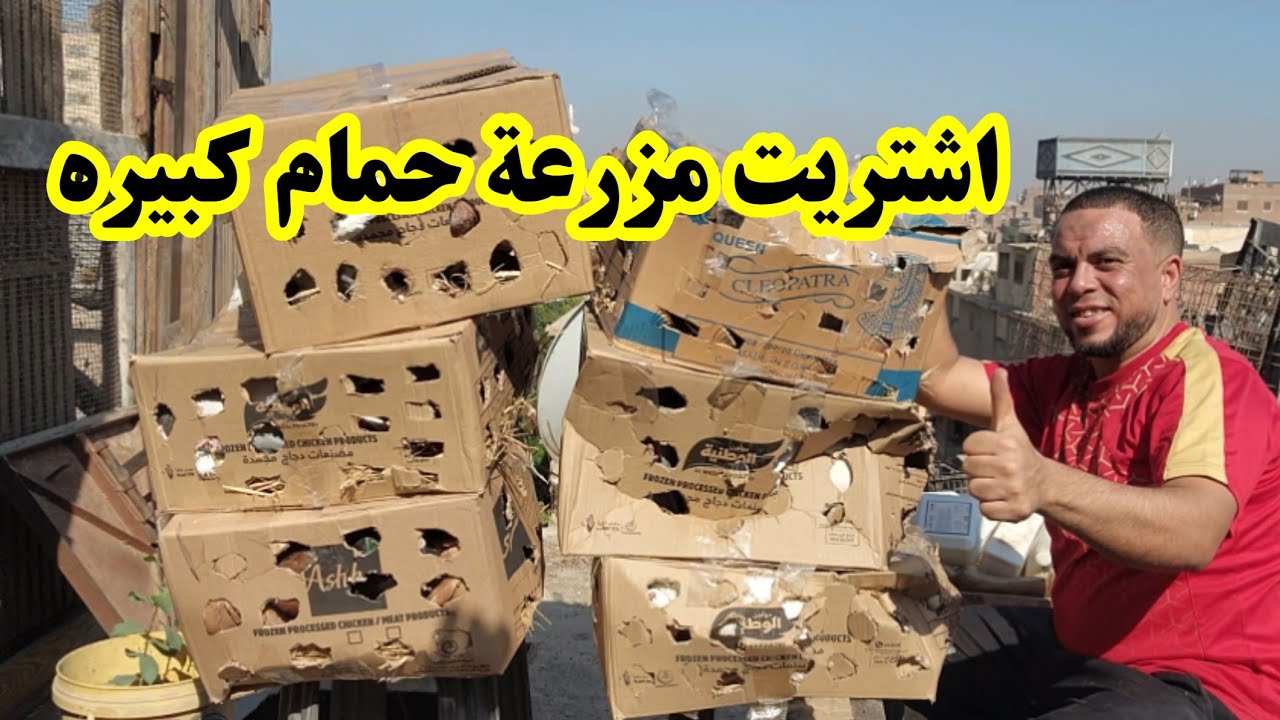 أشتريت مزرعة حمام كبيره أنواع كتير وصلني مفاجأه داخل الفيديو 📦📦