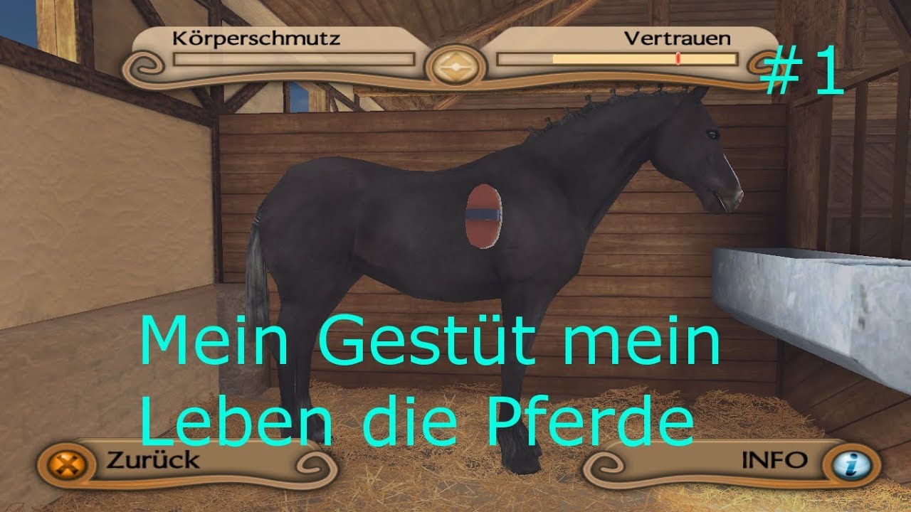 Mein Gest&uuml;t mein Leben die Pferde #1 Neuanfang aber ohne mich
