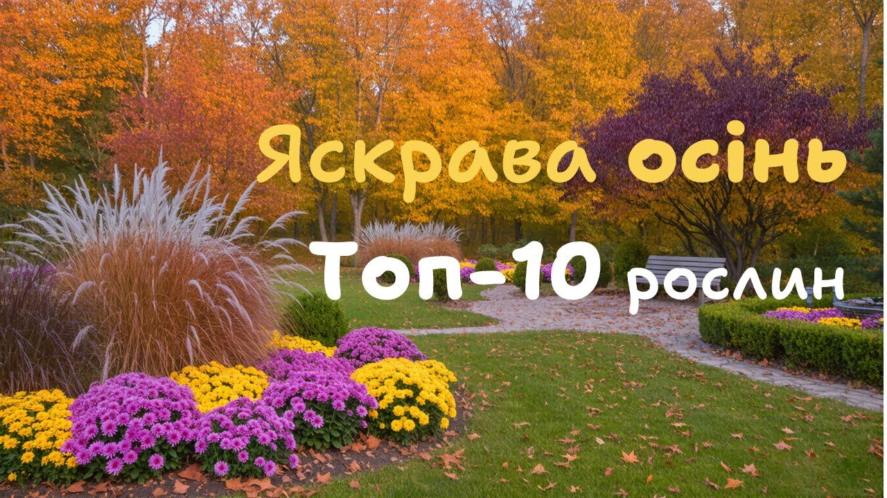 10 рослин які прикрасять ваш сад восени.