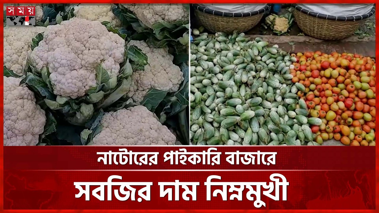 নাটোরের পাইকারি বাজারে সব ধরনের সবজির সরবরাহ থাকায় দাম নিম্নমুখী | Natore News | Somoy TV