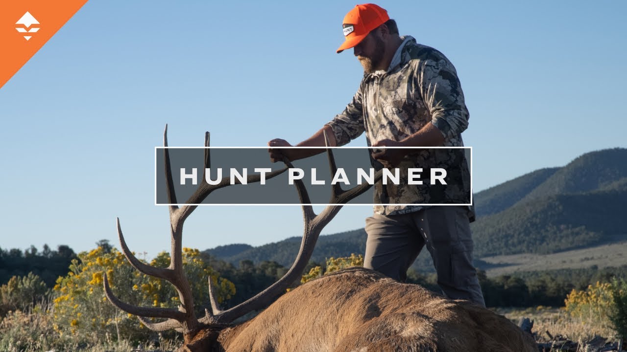 Лучший инструмент для исследования: как использовать Hunt Planner