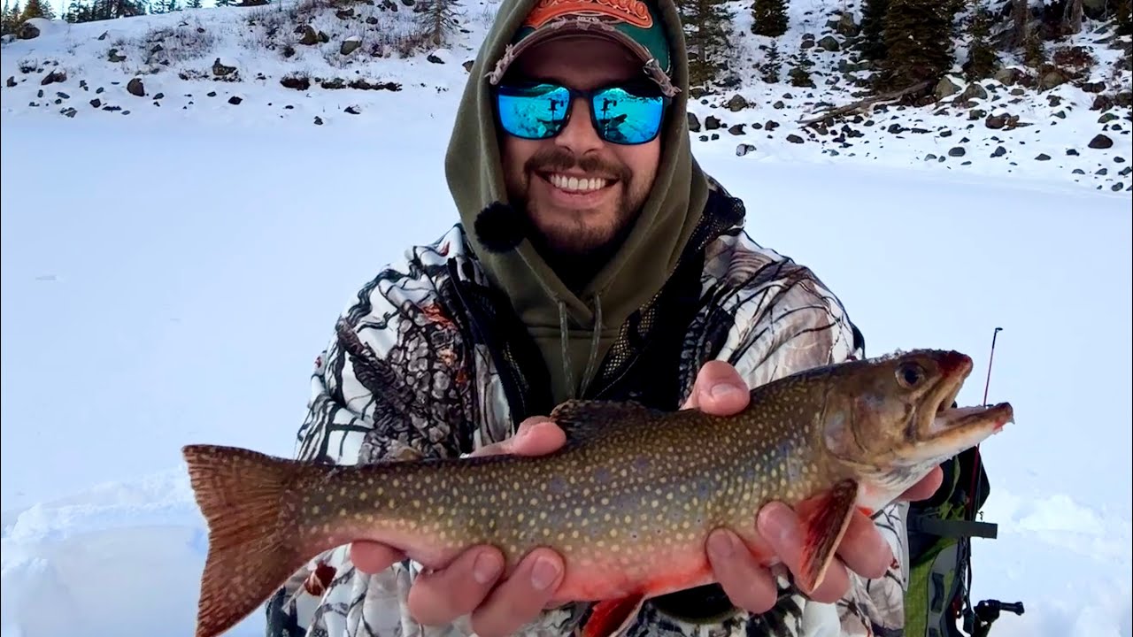 First time Ice Fishing! Grand Mesa Colorado (Amazing Underwater Views!) #icefishing #fishing 