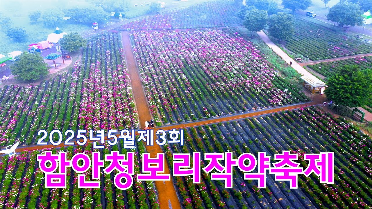 함안청보리작약축제 4k드론영상 | 칠서강나루생태공원 | 함안여행 | 함안가볼만한곳 | 함안축제 | 작약 | 4k Drone Footage152
