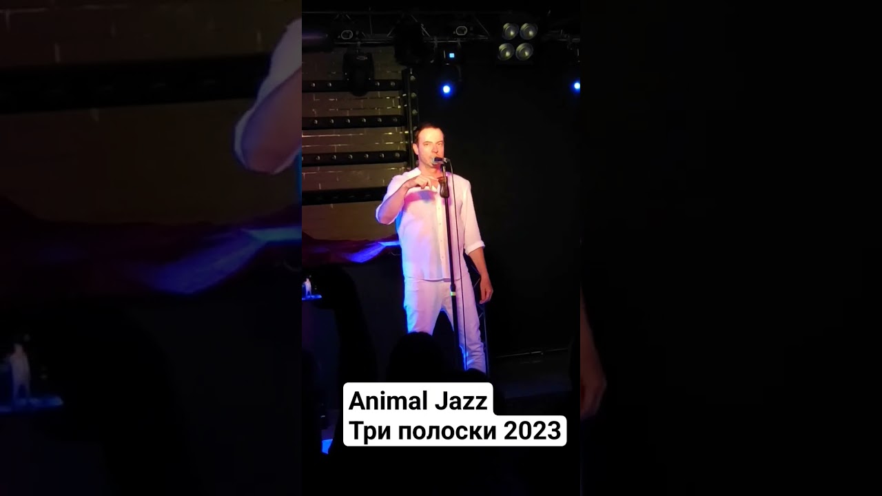 Animal Jazz Три полоски 2023 | Zero People 2023