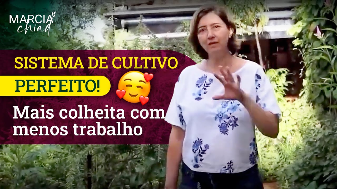 ESTA &Eacute; A MINHA HORTA BIODIVERSA - Horta em Casa | Marcia Chiad