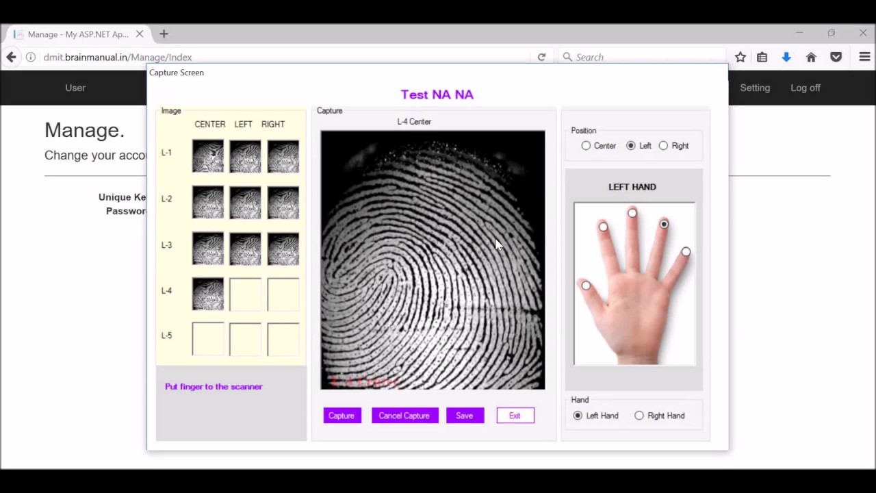 DMIT Software Demonstration (Brain Manual)