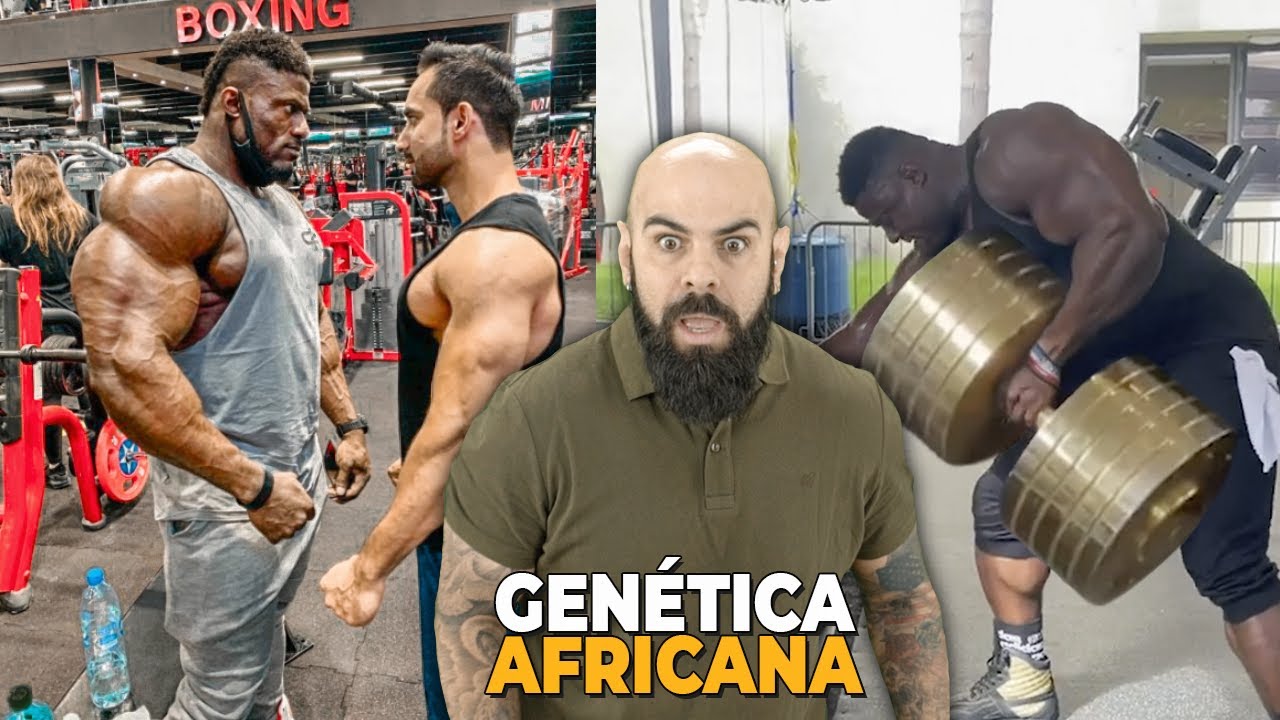 REAGINDO AO BODYBUILDER ANDREW JACKED | GENÉTICA AFRICANA ABSURDA