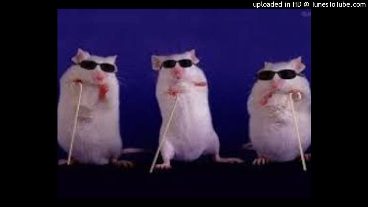 3 Blind Mice