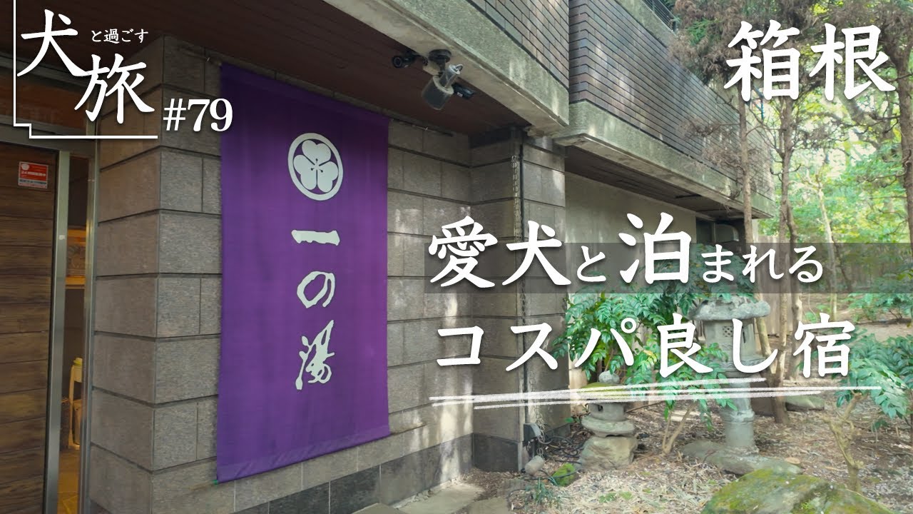 【一の湯｜箱根仙石原】コスパ最高！愛犬と泊まれるお宿でわんこと一緒にふぐ三昧