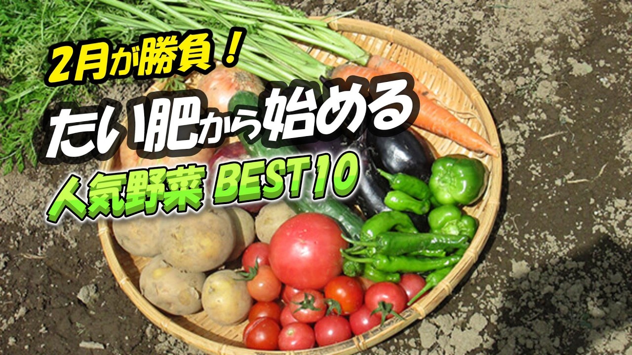 【2月が勝負】たい肥から始める家庭菜園｜春野菜BEST10を一気に紹介！「育つ土」このチャンネルを見れば分かる。【家庭菜園】初心者必見。 2026.2.7 siba life
