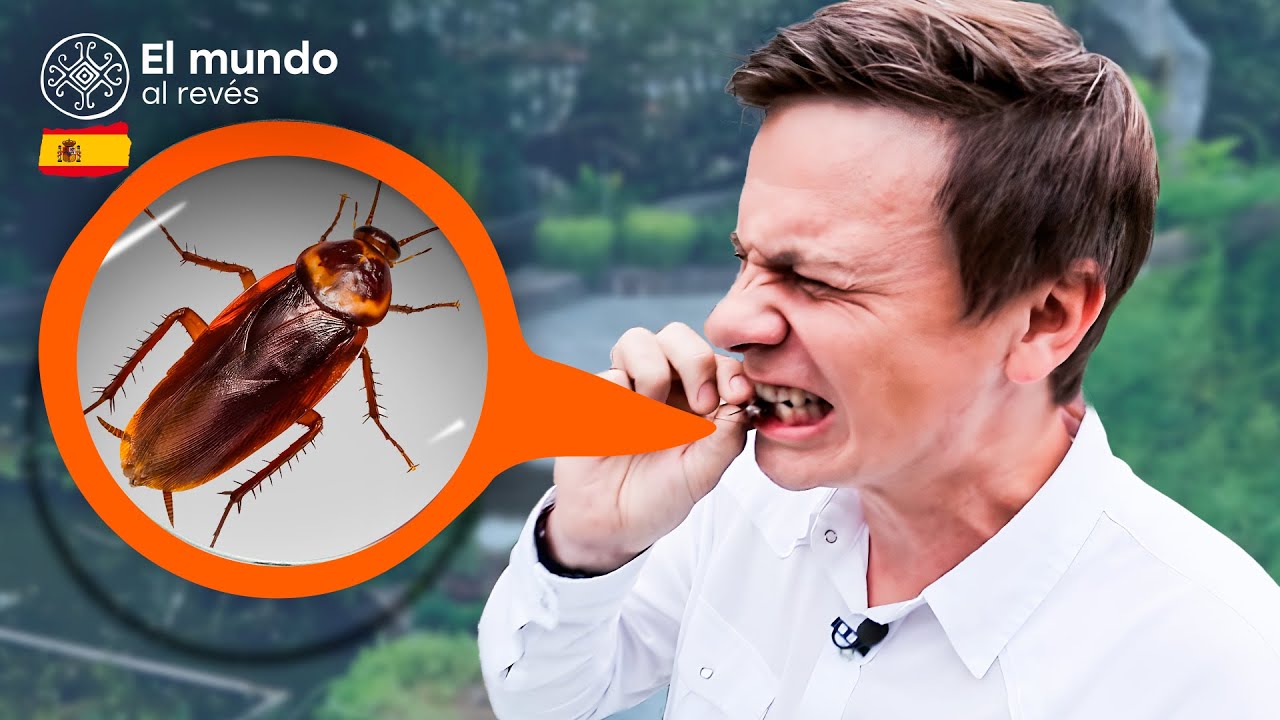 ¿A qué sabe una CUCARACHA de $70 000? El mundo al revés. China. 10 edición