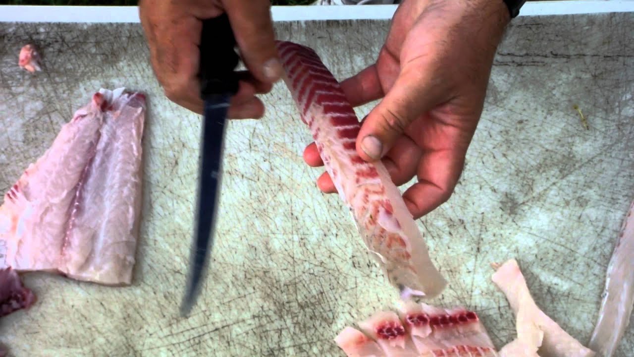 How to debone an Asian carp fillet