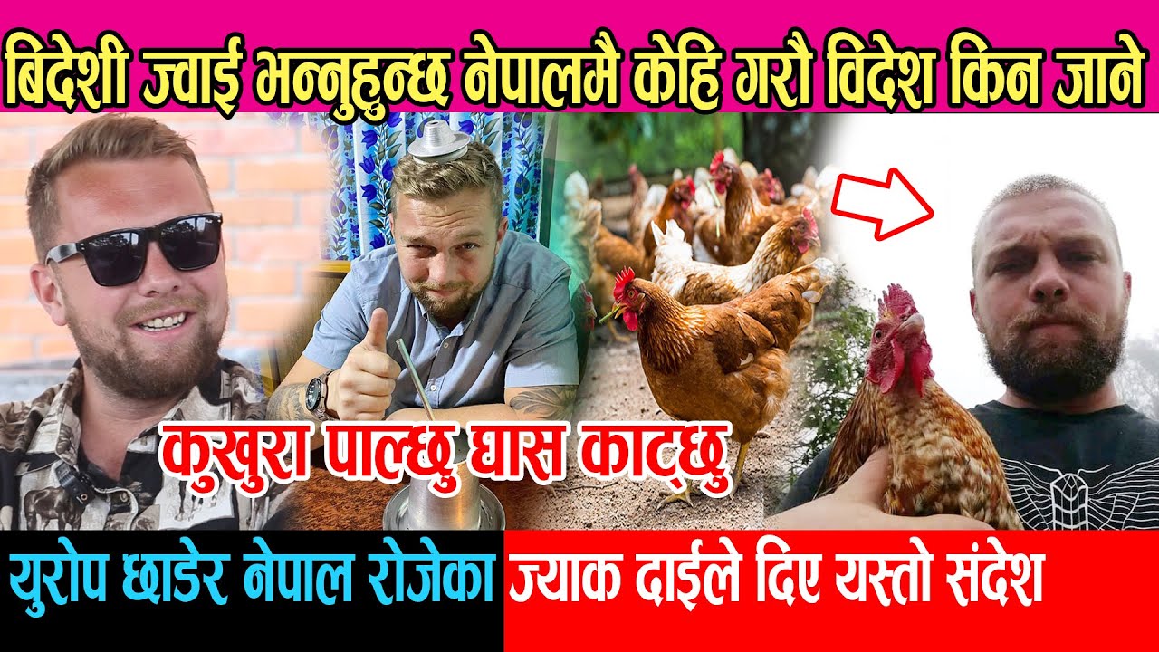 बिदेशी ज्वाई नेपालमा कुखुरा पालेर घास दाउरा गर्दै भेटिए | Jack Dai ले दिए नेपालीलाई यस्तो संदेश