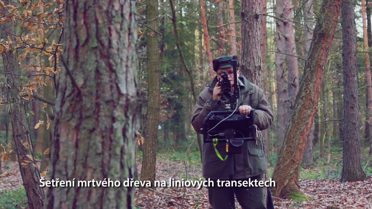 Národní inventarizace lesů 2011-2015 2. cyklus