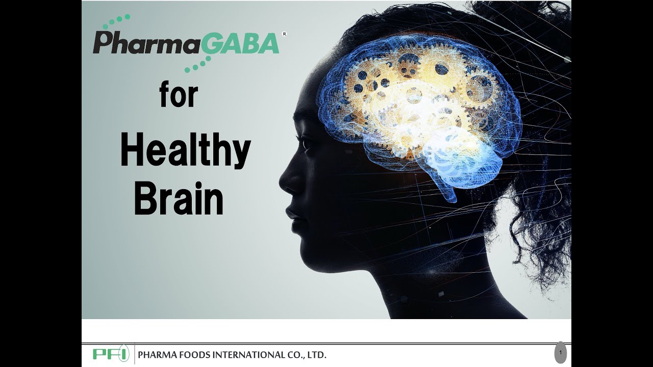 A Top Ingredient for a Smart Brain  The Science Behind PharmaGABA