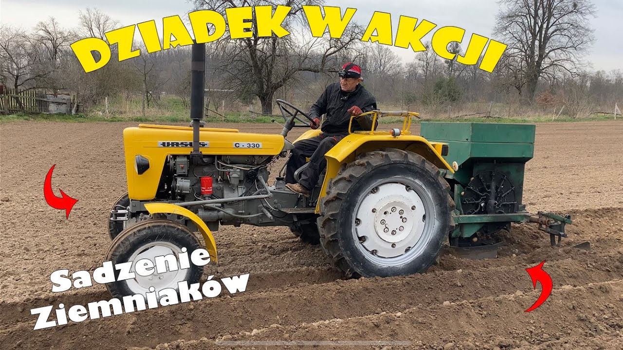 Sadzenie Ziemniaków | Ursus c-330 | Capek stanął dęba! | Dziadek w akcji | Ziemniak Denar