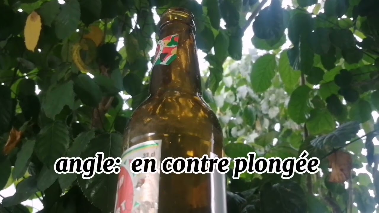les mouvements de cam&eacute;ra : travelling et panoramique ainsi que les diff&eacute;rents angles  prises de vues