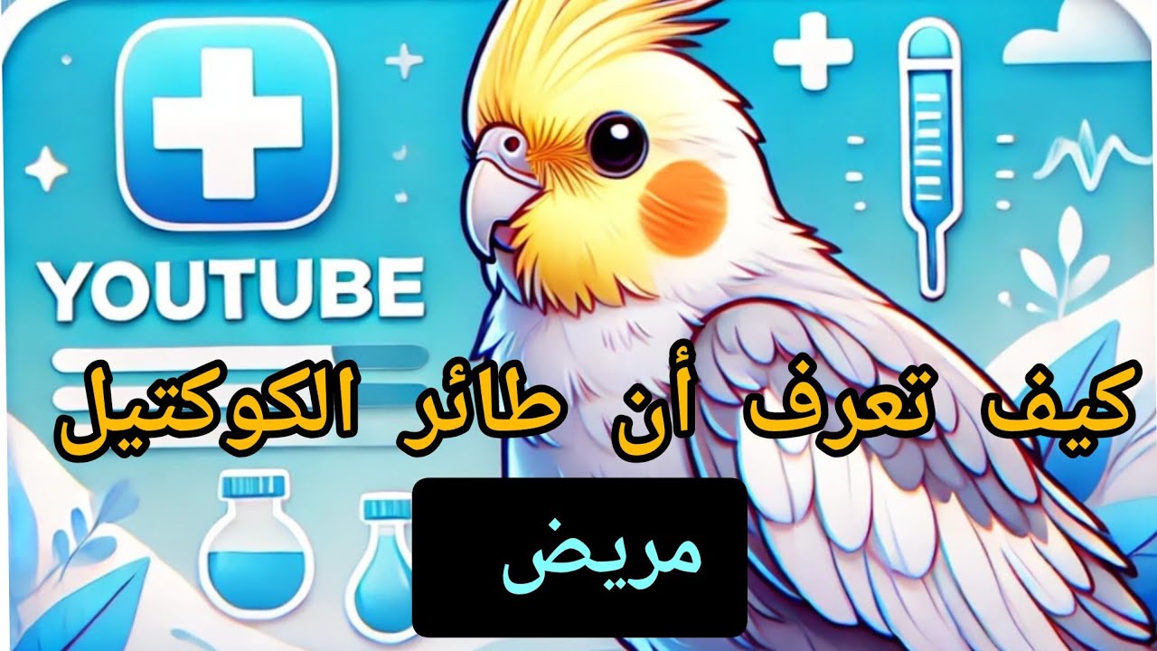 كيف تعرف أن طائر الكوكتيل مريض #طيور #كوكتيل #كيف #يوميات