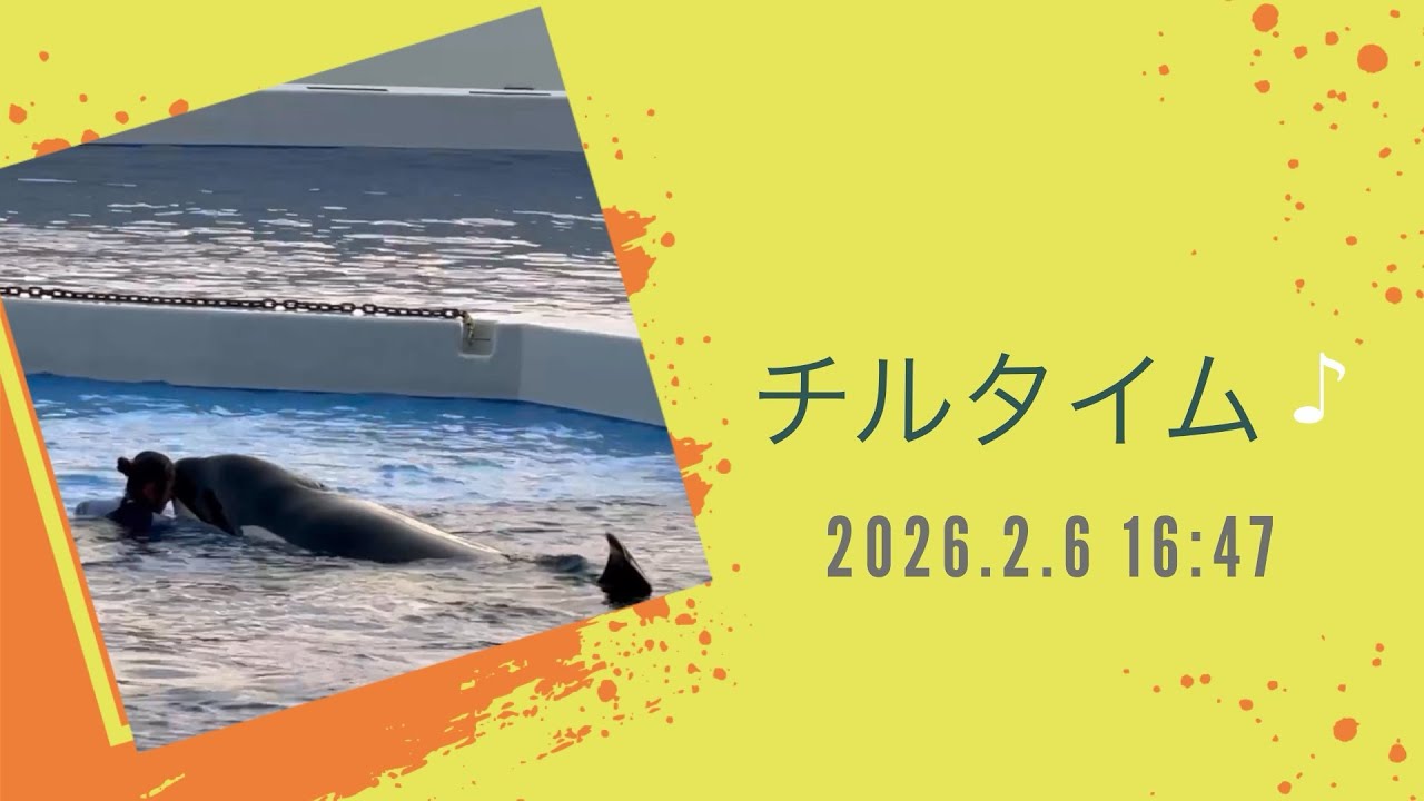チルタイム♪ 2026.2.6 16:47