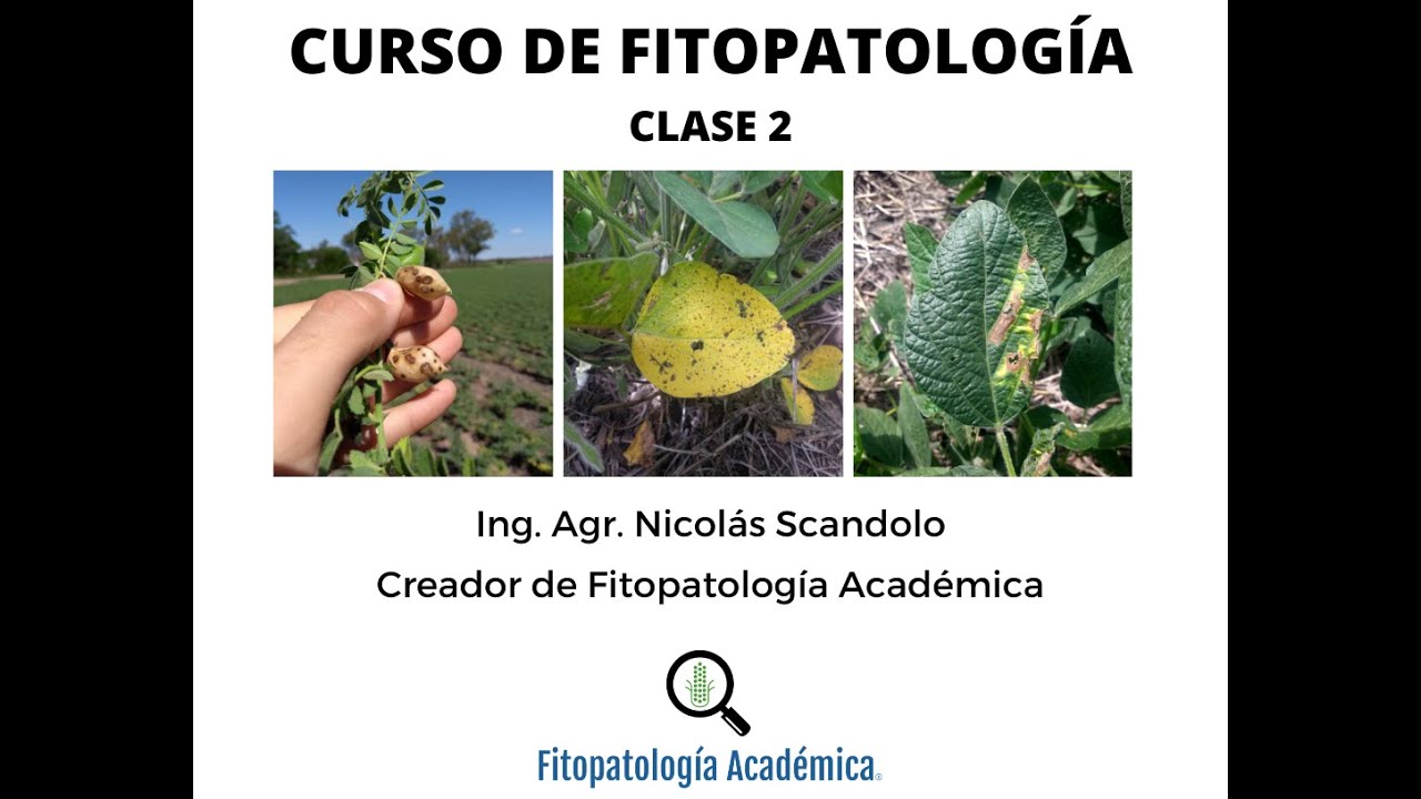 Curso de Fitopatología: Clase 2. Enfermedades monocíclicas y policíclicas.