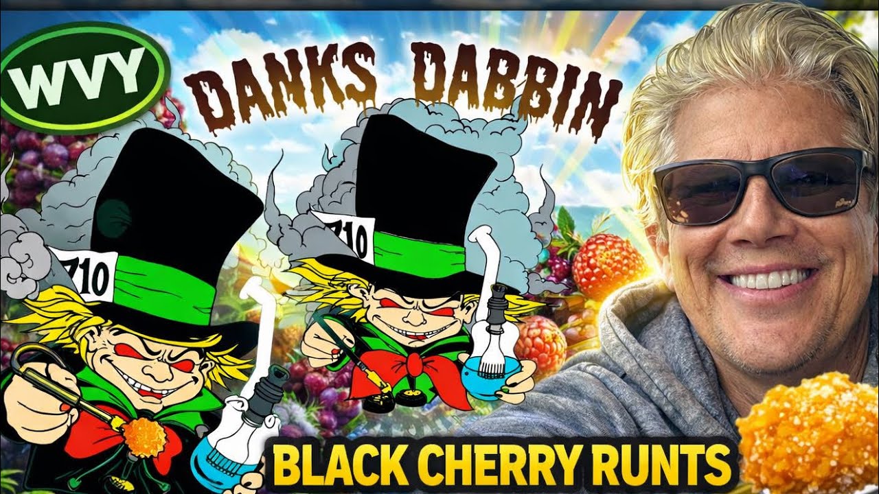 WVY ~ Black Cherry 🍒 Runtz Badder