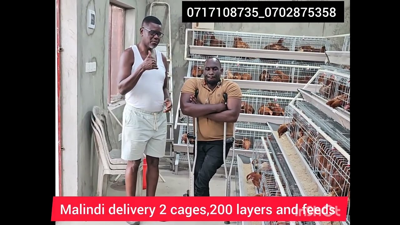 MALINDI 200 BIRDS ,CAGES AND FEEDS DELIVERY AND INSTALLATION (0717108735)